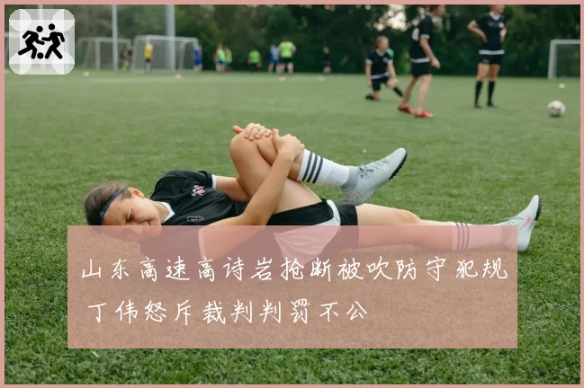 山东高速高诗岩抢断被吹防守犯规 丁伟怒斥裁判判罚不公