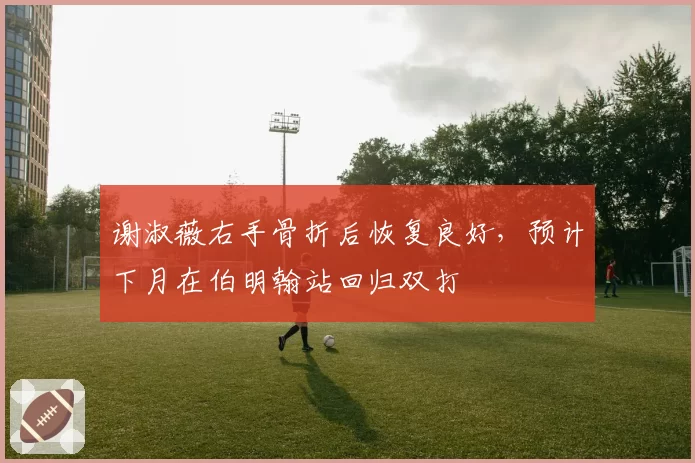 谢淑薇右手骨折后恢复良好，预计下月在伯明翰站回归双打