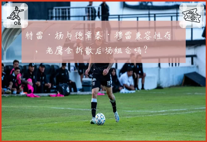 特雷·杨与德章泰·穆雷兼容性存疑,老鹰会拆散后场组合吗?