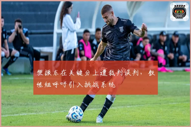 樊振东在关键分上遭裁判误判，教练组呼吁引入挑战系统