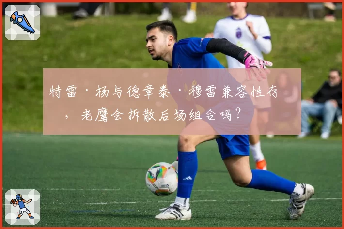 特雷·杨与德章泰·穆雷兼容性存疑,老鹰会拆散后场组合吗?