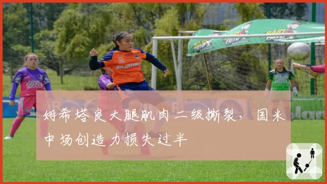 姆希塔良大腿肌肉二级撕裂,国米中场创造力损失过半
